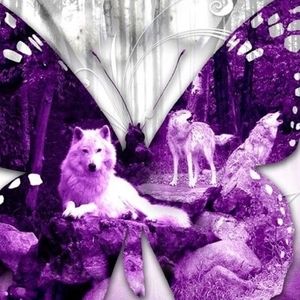 Meet your Posher, Starla